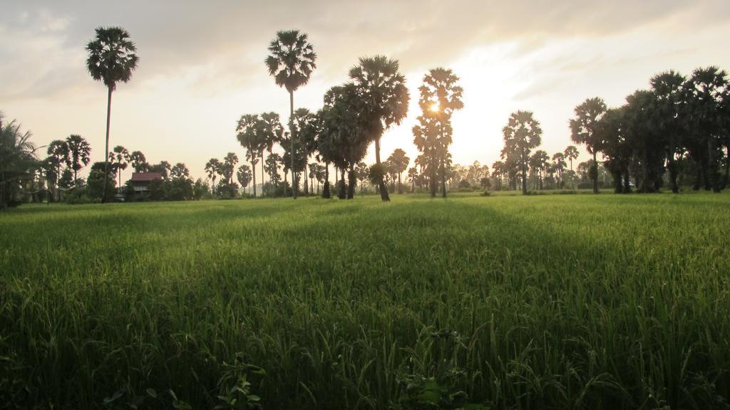 Champa Lodge Kampot Ngoại thất bức ảnh