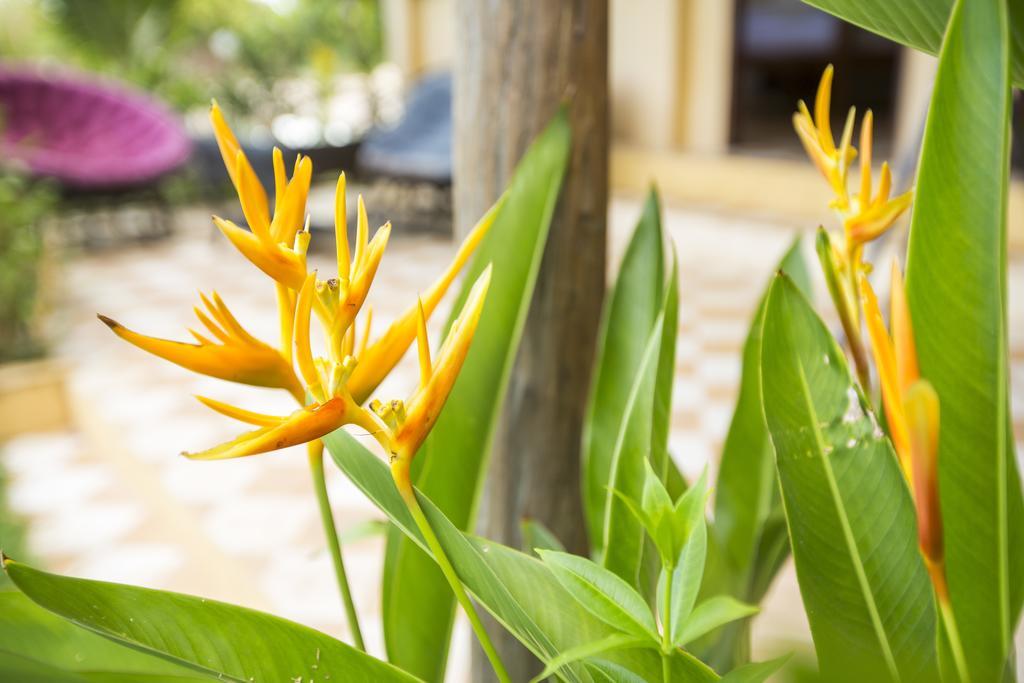 Champa Lodge Kampot Ngoại thất bức ảnh