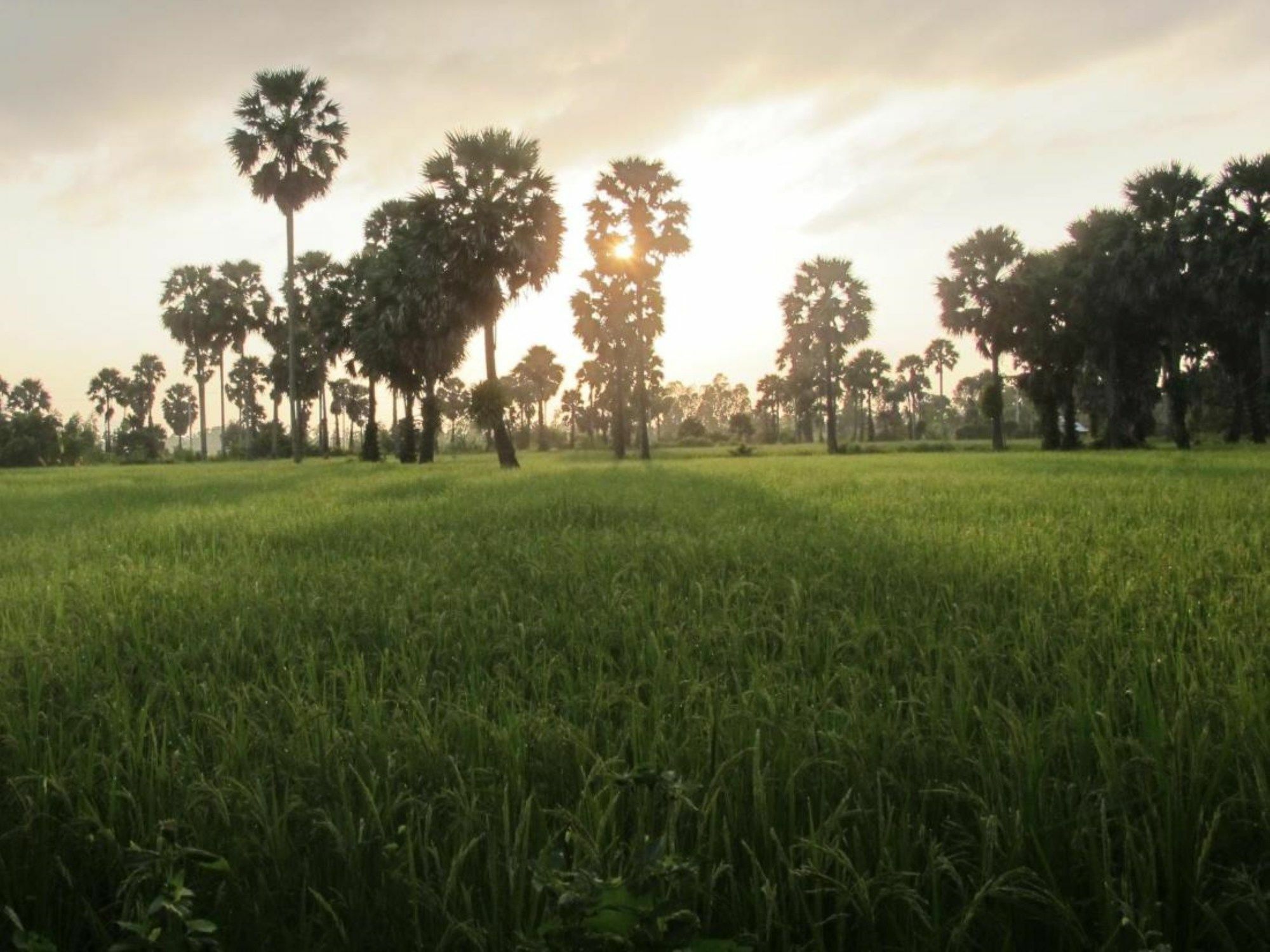 Champa Lodge Kampot Ngoại thất bức ảnh
